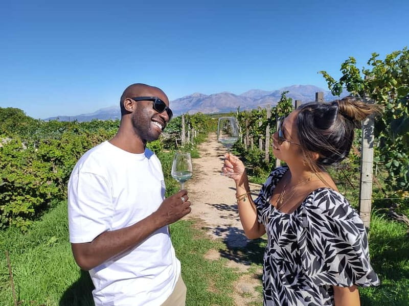 Heraklion: Olive oil and Wine Tour with Lunch - Tasting six Cretan wines in Alagni