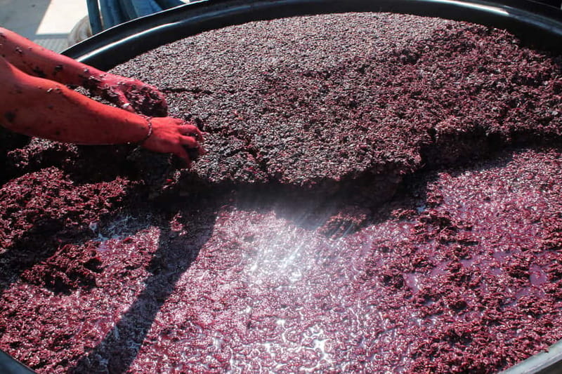 Heraklion: Olive oil and Wine Tour with Lunch - Why the private format helps