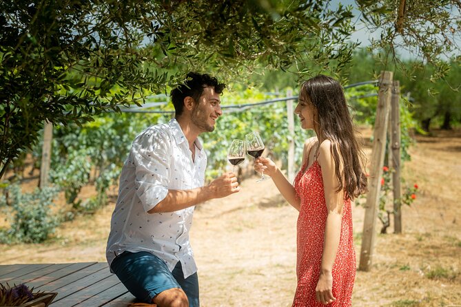Heraklion Private Olive Oil and Wine Gastronomy tour with Lunch - Key points at a glance