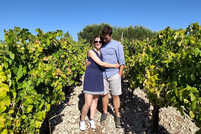 Heraklion Private Olive Oil and Wine Gastronomy tour with Lunch - Lyrarakis Winery and six local wines