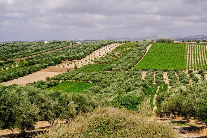 Heraklion Private Olive Oil and Wine Gastronomy tour with Lunch - Who will enjoy this tour most