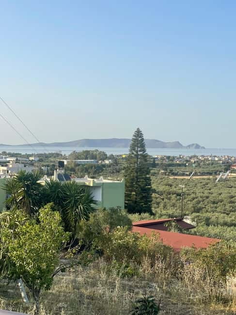Heraklion: Sunset BBQ in the Olive Grove - A small-group evening with a personal feel