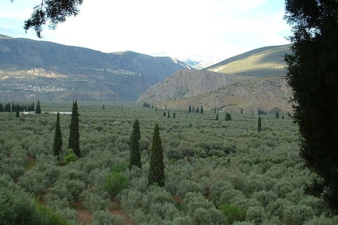 Hiking in the Olive Groves,Villages,Sunset,with Swim Stop - From Liapades Cemetery to the Rovinia trail