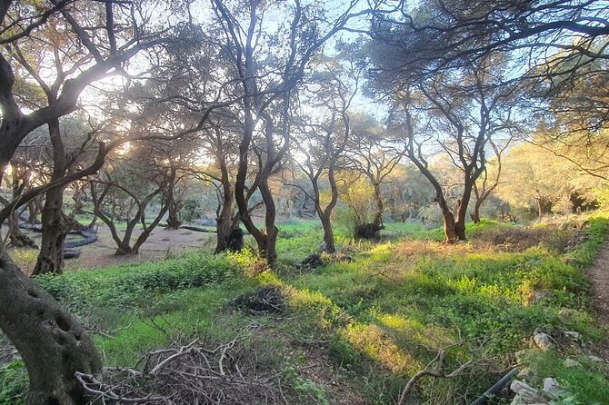 Hiking in the Olive Groves,Villages,Sunset,with Swim Stop - The abandoned villas and the path to Limni