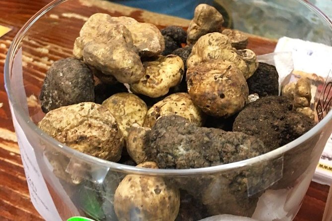 Istrian hill top cities tour with truffle and olive oil tasting - Why this Istrian day trip works