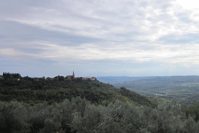 Istrian hill top cities tour with truffle and olive oil tasting - How the day feels in practice