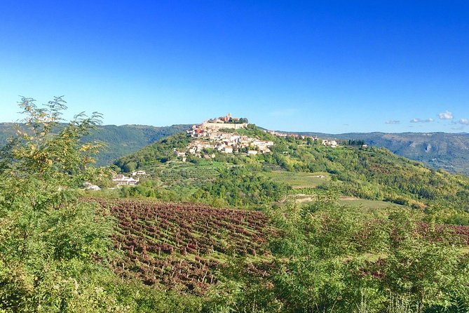 Istrian hill top cities tour with truffle and olive oil tasting - Who should book this tour