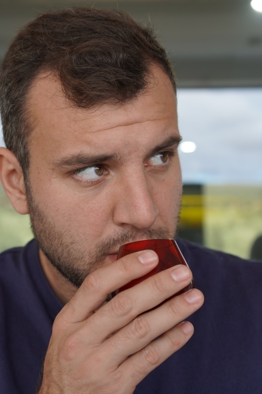Jaén: Aires de Jaén Olive Oil Tasting Class - Key points at a glance