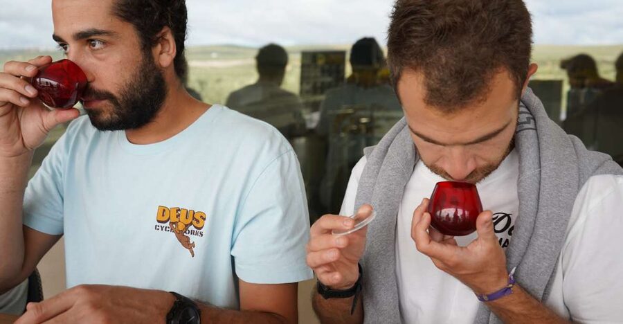 Jaén: Aires de Jaén Olive Oil Tasting Class - What the one-hour Aires de Jaén class is really about