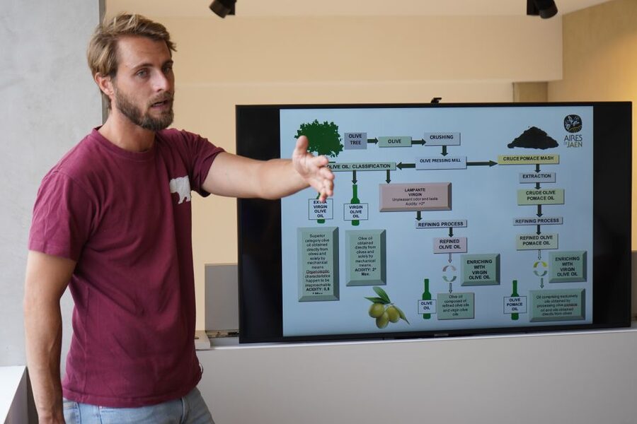Jaén: Aires de Jaén Olive Oil Tasting Class - Is $14 a fair price?