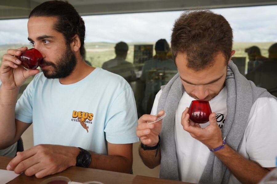 Jaén: Aires de Jaén Olive Oil Tasting Class - From a small olive to a finished oil