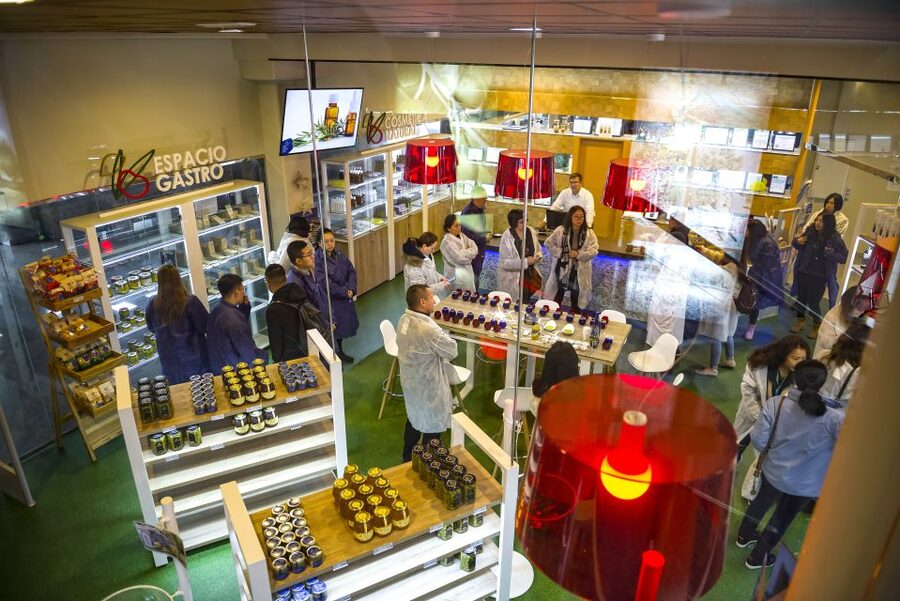 Jaén Discover the Secrets of Olive Oil: Tour & Tasting - The three-oil tasting at the end