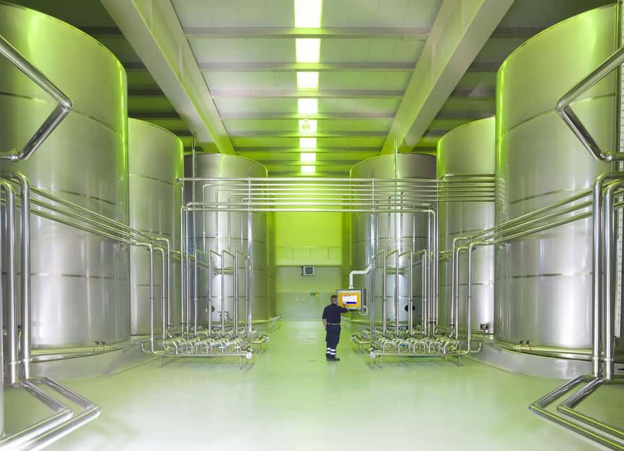 Jaén Discover the Secrets of Olive Oil: Tour & Tasting - Practical booking advice before you go