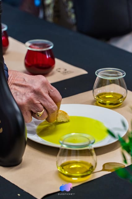 Jaén: Guided Olive Mill Tour with Olive Oil Tasting - Why this small olive mill is worth your time