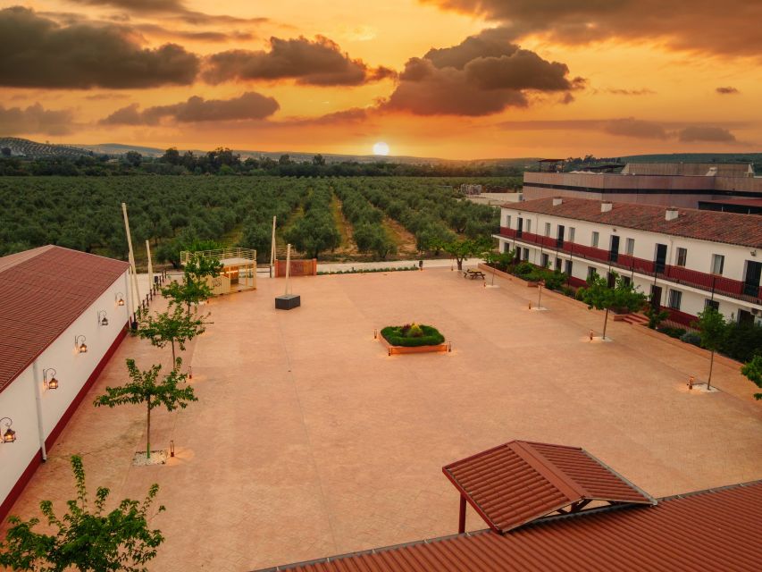 Jaen: Olive oil tour with the 5 senses, grove and tasing - Getting to the estate and preparing well