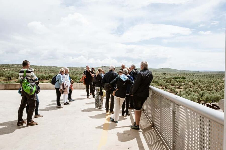 Jaén: Unforgettable visit to the olive mill + EVOO tasting - What makes this Picualia visit worth your time