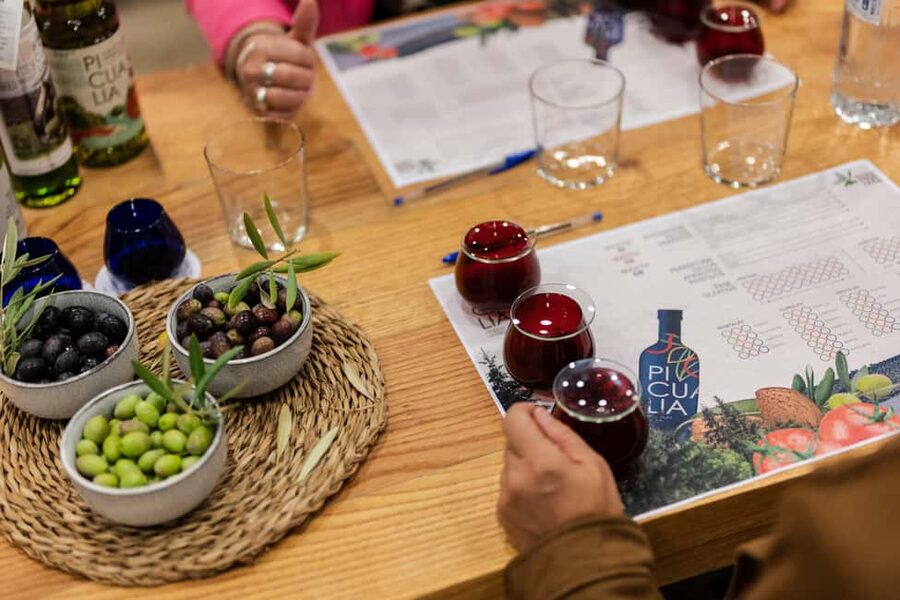 Jaén: Unforgettable visit to the olive mill + EVOO tasting - Price, timing, and meeting point