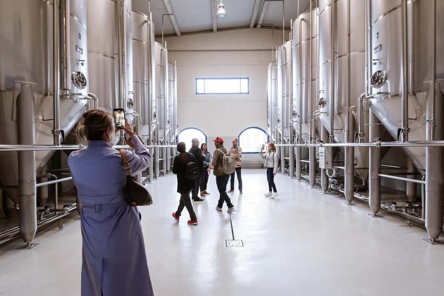 Jaén: Unforgettable visit to the olive mill + EVOO tasting - Follow the 45-minute mill tour