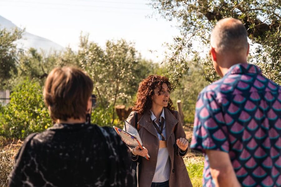 Kalamata, Greece: Organic Olive Grove Tour-Olive oil tasting - Finishing with Messinian food