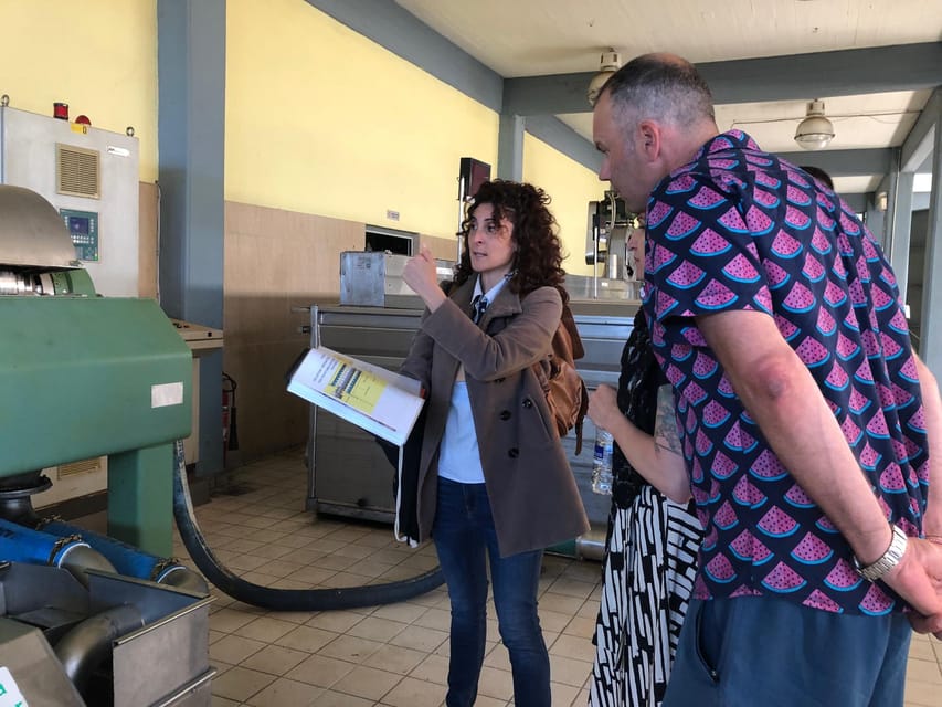 Kalamata, Greece: Organic Olive Grove Tour-Olive oil tasting - What the $147 price really covers