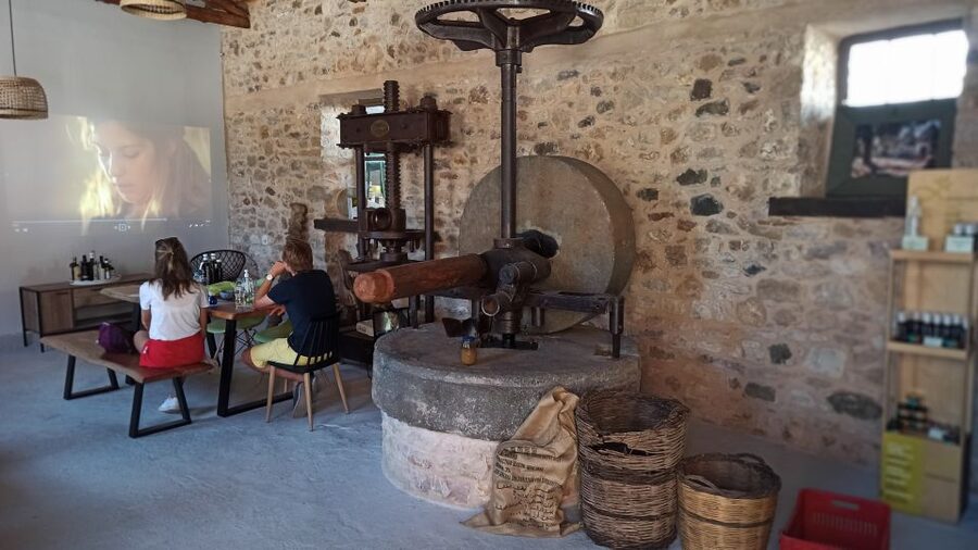Kalamata: The Olive Oil Routes Tour - Who should book the Olive Oil Routes Tour?