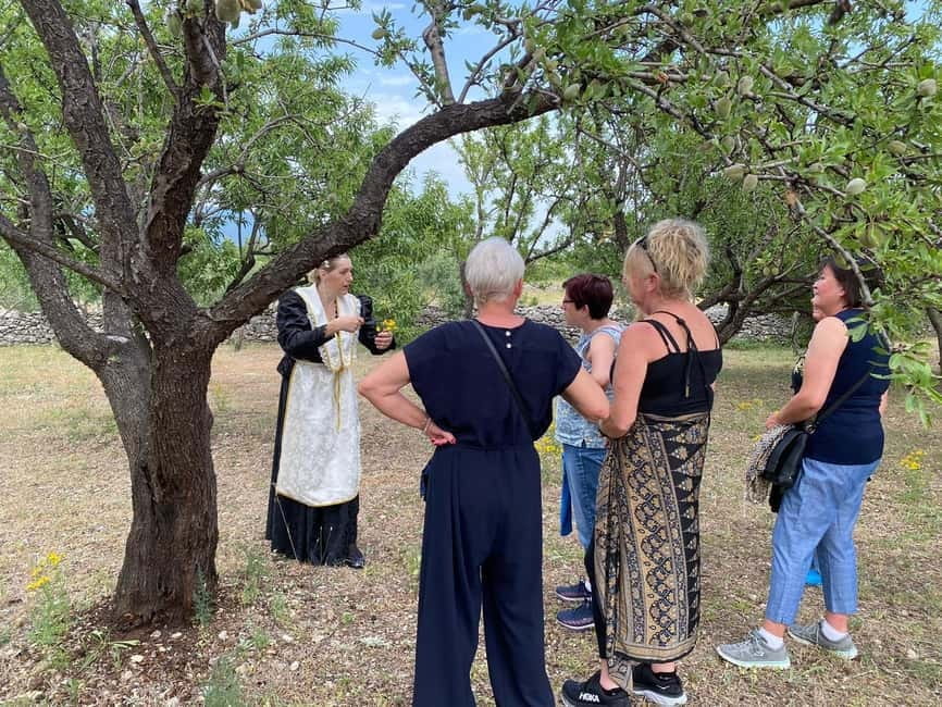 Kastela: Wine & Olive Tasting Tour w/Delicacies & Live Music - A Working Farm Near Kaštel Novi