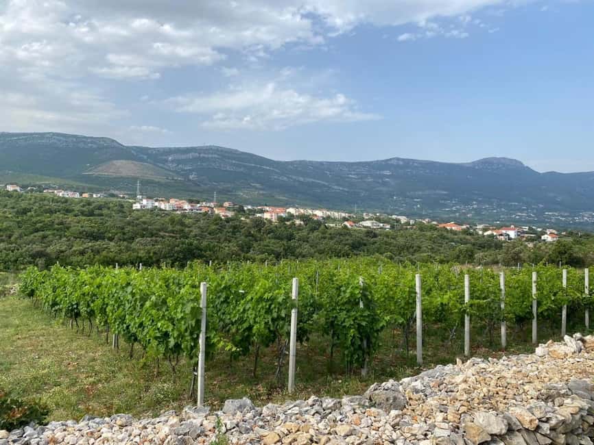 Kastela: Wine & Olive Tasting Tour w/Delicacies & Live Music - Bijaći and the Story Beneath the Vines