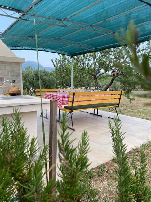 Kastela: Wine & Olive Tasting Tour w/Delicacies & Live Music - Kathrin’s Music and Traditional Dress