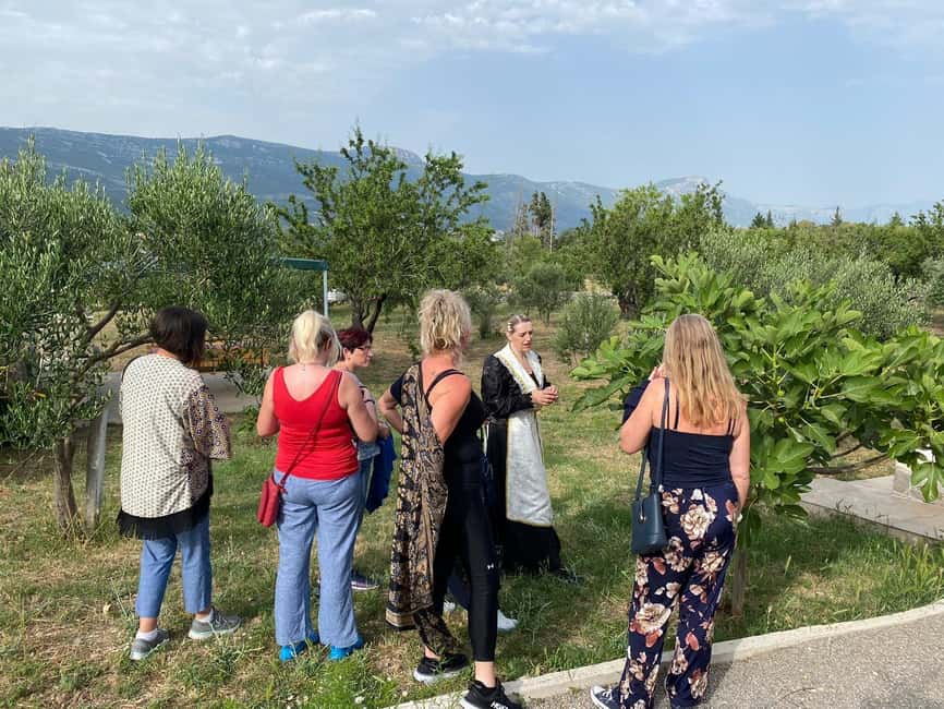 Kastela: Wine & Olive Tasting Tour w/Delicacies & Live Music - Why the Six-Person Limit Matters