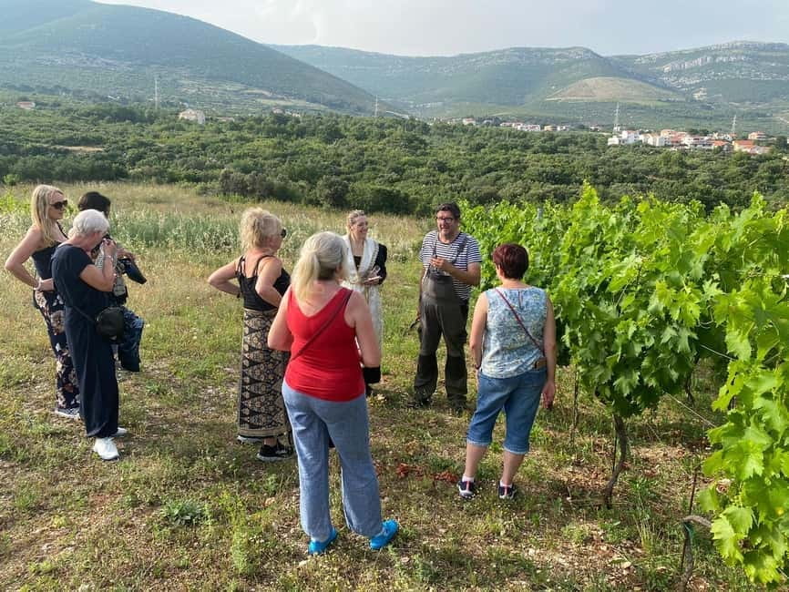 Kastela: Wine & Olive Tasting Tour w/Delicacies & Live Music - Getting There From Trogir or Split Airport
