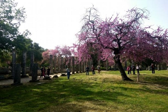 Katakolon Shore Ex: Skip-the-Lines Ancient Olympia & Olive market - The Olympia Archaeological Museum in 40 minutes