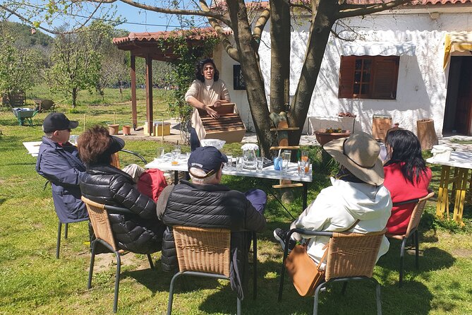 Katakolon Small Group Tour: Olympic site, Honey/Olive Oil Tasting - Tasting Greek olive oil at Padelina