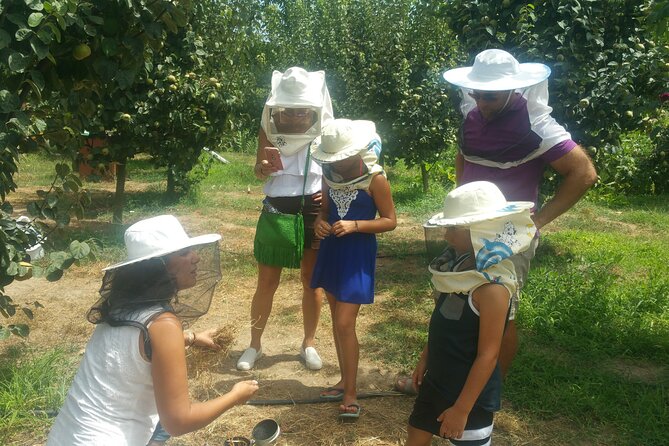 Katakolon Small Group Tour: Olympic site, Honey/Olive Oil Tasting - Who will enjoy this combination most