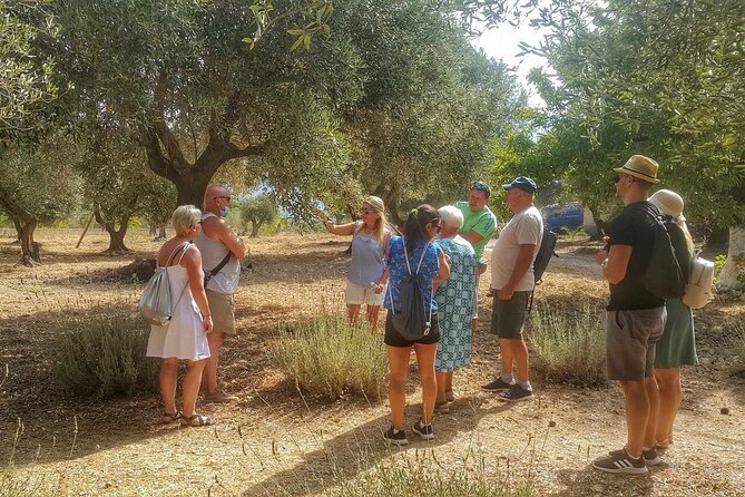 Kefalonia: Private Olive Oil, Honey & Wine Tasting Experience - Why the private price can make sense