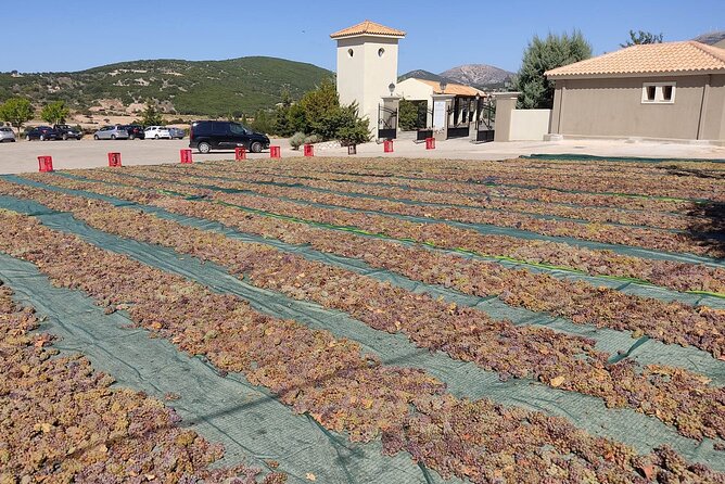 Kefalonia: Private Olive Oil, Honey & Wine Tasting Experience - Cruise passengers should plan the timing carefully