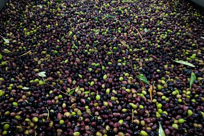 Kleanthi Olive Farm: Guided Tour with Local Delicacies Tasting - The shop and taking Crete home
