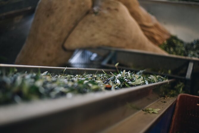 Kleanthi Olive Farm: Guided Tour with Local Delicacies Tasting - Price, timing, and who gets the best value