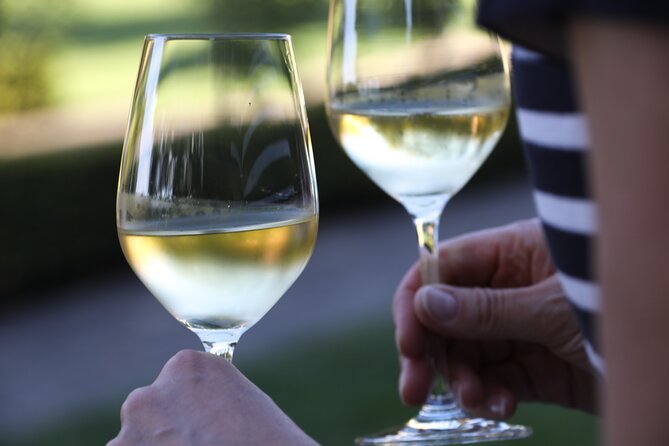 Knossos, Olive Grove, Winery - Distillery with Tastings & Lunch - Stironas: wine barrels, raki, and a bottle of your own