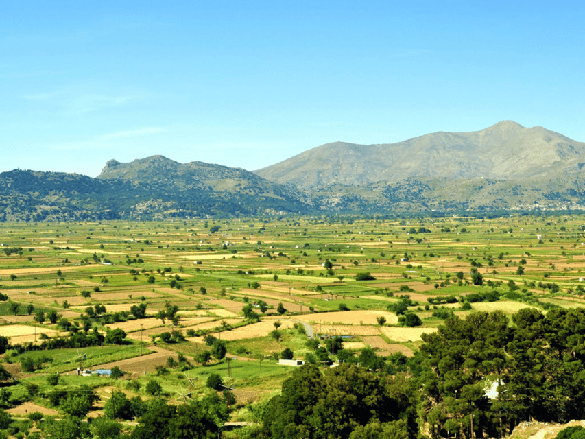 Knossos Palace &/or Zeus Cave + Olive Mill | Local & Private - Who should book this tour?