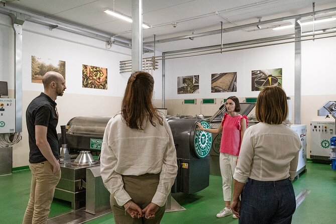 Lake Garda Olive Oil Tour and Tasting Experience - Getting to Via Molini 7 without private transport