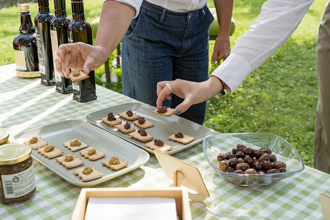 Lake Garda Olive Oil Tour and Tasting Experience - Four oils, four ways to taste Garda olive oil