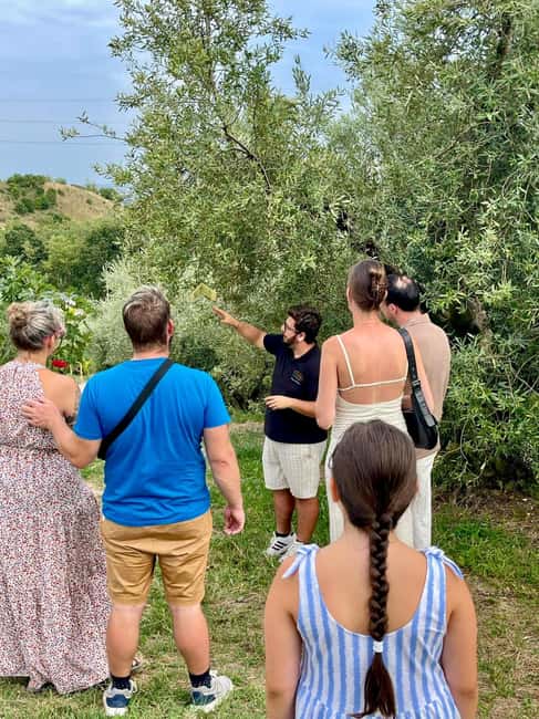 Lake Garda: Tour with 4 Olive Oil Tasting & Local Food - The first 30 minutes: groves, vineyards, and family history