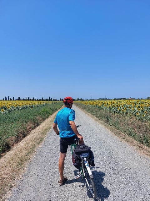 Lecce: E-Bike Tour to Galatina Olive Mill & Wine taste +Taxi - Galatina’s Basilica and old town