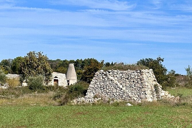 Lecce : Half day E-Bike tour to Old Olive Mill & Olive Oil Taste - The return route and the practical rhythm