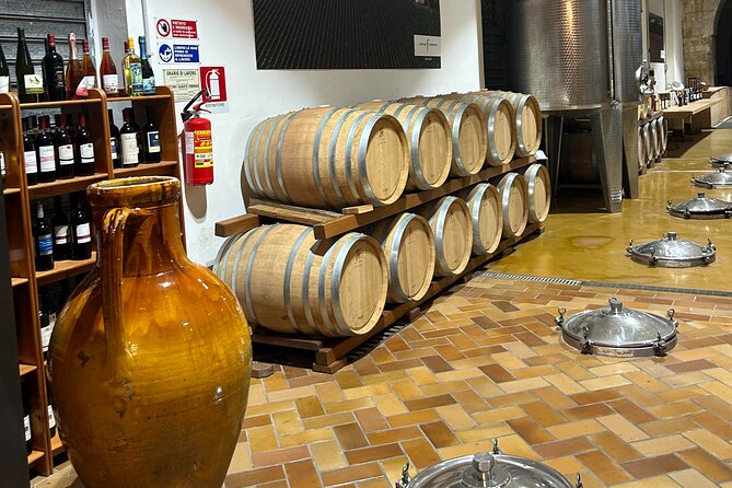 Lecce to Galatina E-Bike: Olive Mill & Wine Tasting + Taxi back - What the $203.95 price gets you