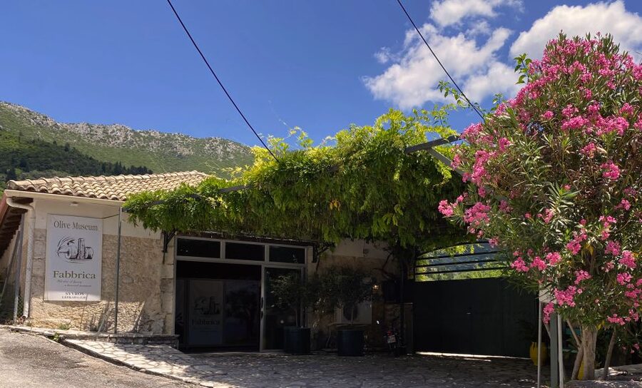 Lefkada: Olive Museum Fabbrica Ticket and Guided Tour - Should you book the Fabbrica Olive Museum tour?