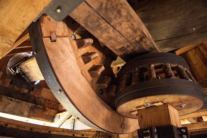 Leonardo Da Vinci's wind mill visit and Organic olive oil tasting - What the olive grove adds to the visit