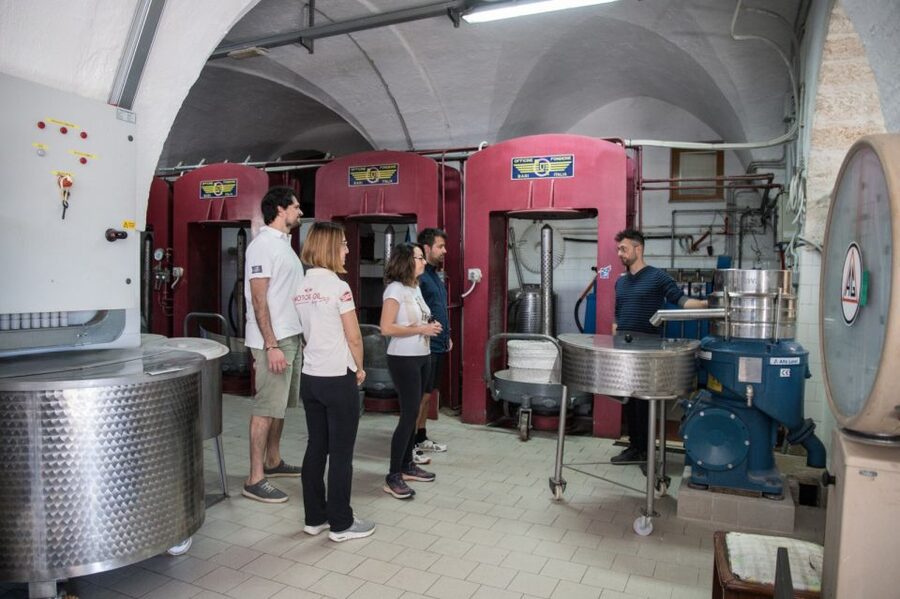 Locorotondo: Guided E-bike Tour & Olive Oil Tasting - Who should book this ride