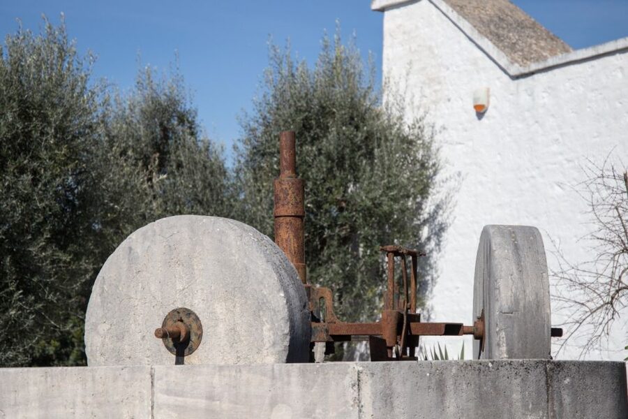 Locorotondo: Guided E-bike Tour & Olive Oil Tasting - Practical details before you set out
