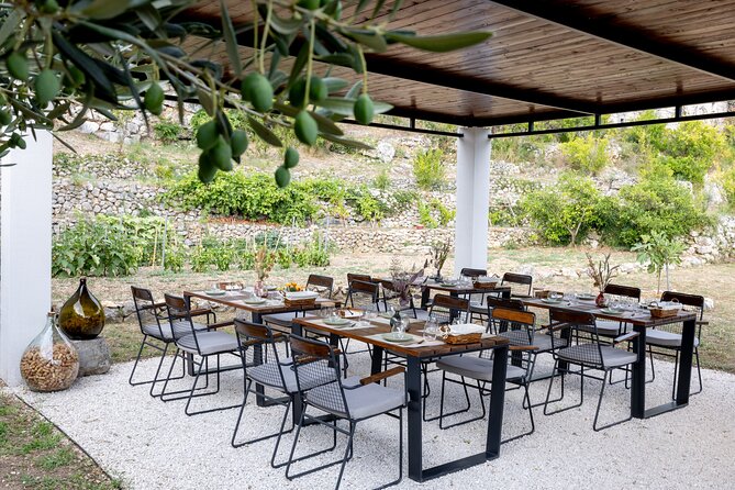 Makarska Tuk Tuk Tour Olive Grove, Scenic Views and Tastings - Quiet roads and Makarska from above